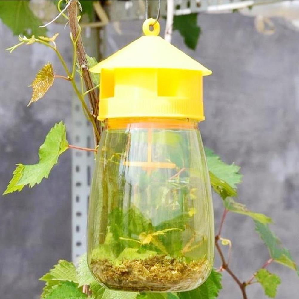 Armadilha De Mosca De Frutas D - Bug Catching Kit avaliação e preço