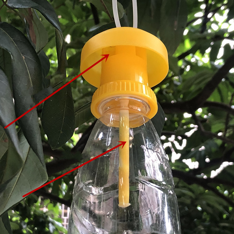 1/3 pçs armadilha de mosca de  - Bug Catching Kit avaliação e preço