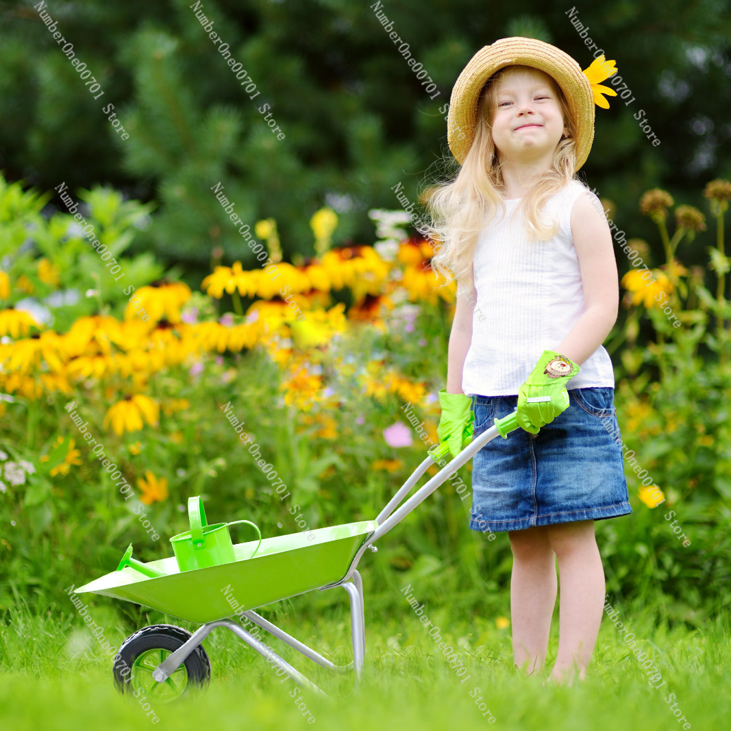 Carrinho de Mão Infantil para  - Kids Outdoor Activity Toys avaliação e preço
